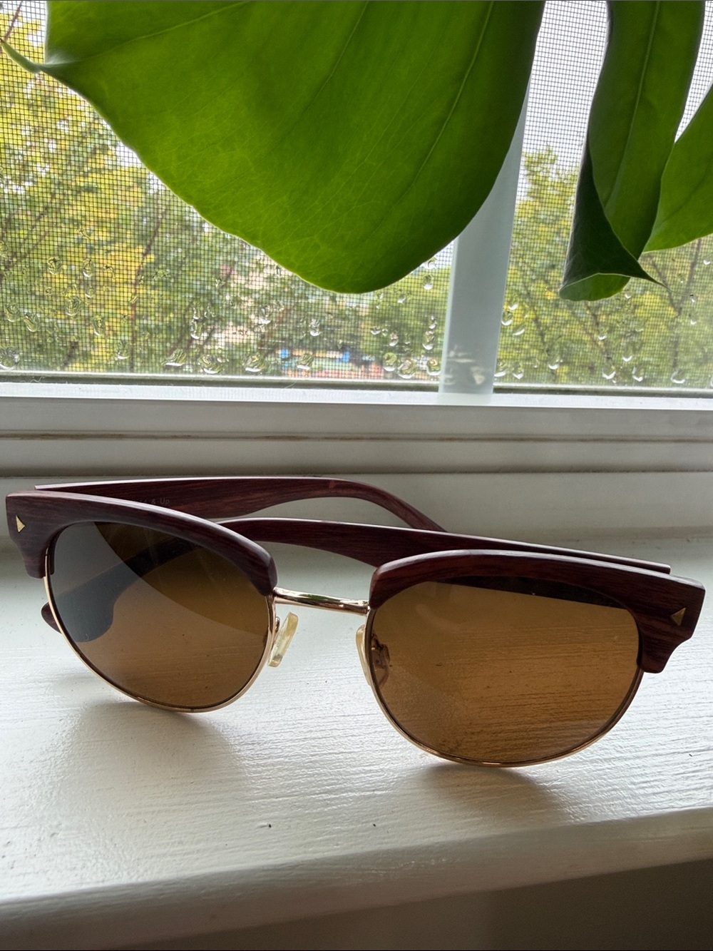 Brown Wood-Accent Sunglasses
